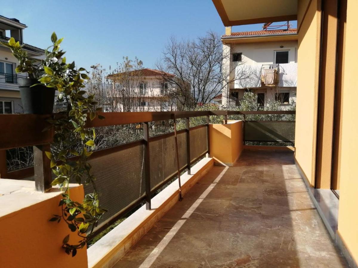 Eleana Apartment Ioannina Exterior foto