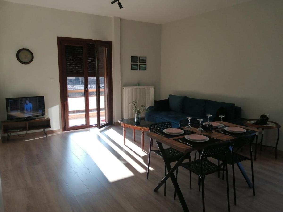 Eleana Apartment Ioannina Exterior foto