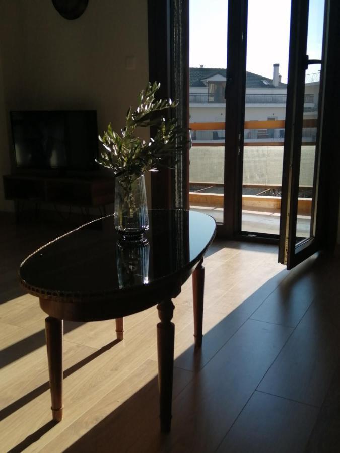Eleana Apartment Ioannina Exterior foto